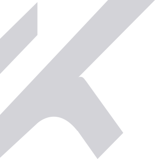 Vivamus ut magna turpis